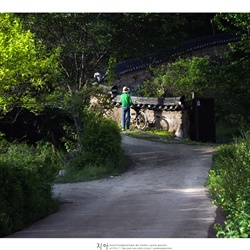 dailyPhoto6