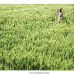 dailyPhoto21