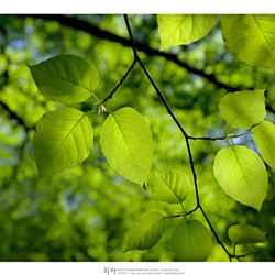 dailyPhoto21