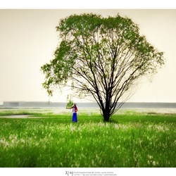 dailyPhoto27