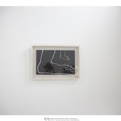 dailyPhoto6