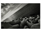 dailyPhoto23