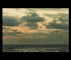 dailyPhoto38