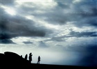 dailyPhoto1