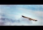 dailyPhoto30