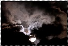 dailyPhoto14