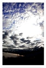 dailyPhoto3