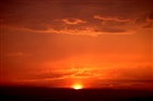 dailyPhoto1