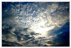 dailyPhoto4