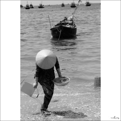 dailyPhoto20