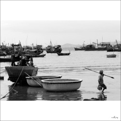dailyPhoto5