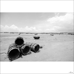 dailyPhoto38