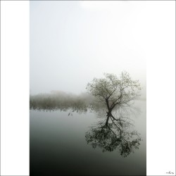 dailyPhoto10