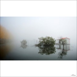 dailyPhoto30