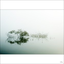 dailyPhoto3