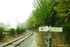 dailyPhoto24