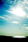 dailyPhoto5