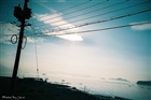 dailyPhoto36