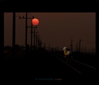 dailyPhoto32