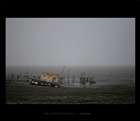 dailyPhoto35