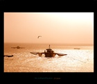 dailyPhoto3