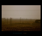 dailyPhoto35