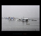 dailyPhoto25