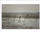 dailyPhoto6