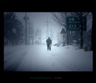 dailyPhoto9