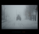 dailyPhoto36