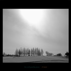 dailyPhoto24