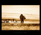dailyPhoto10