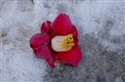 dailyPhoto24