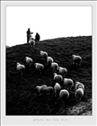 dailyPhoto9