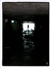 dailyPhoto8