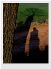 dailyPhoto10