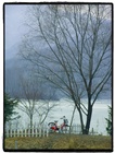 dailyPhoto8