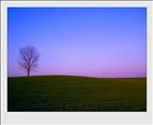 dailyPhoto4