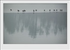dailyPhoto30