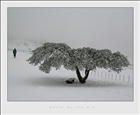 dailyPhoto10