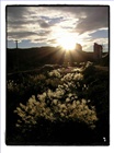 dailyPhoto9
