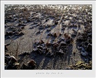 dailyPhoto8