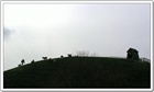 dailyPhoto33