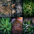 dailyPhoto8