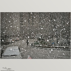 dailyPhoto5
