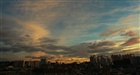 dailyPhoto1