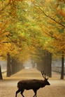 dailyPhoto9