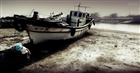 dailyPhoto30