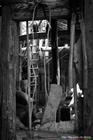 dailyPhoto5