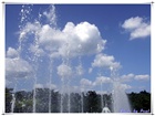 dailyPhoto6